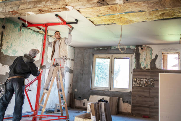 Best Insulation Maintenance and Repair in Clarendon Hls, IL